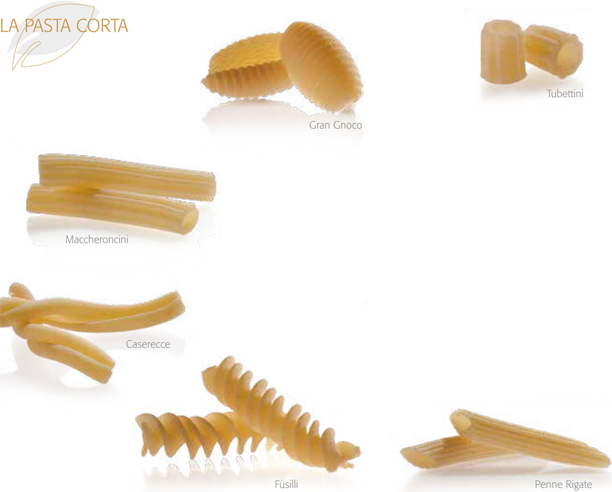 Pasta corta